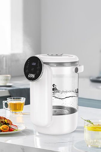 Electric Kettle