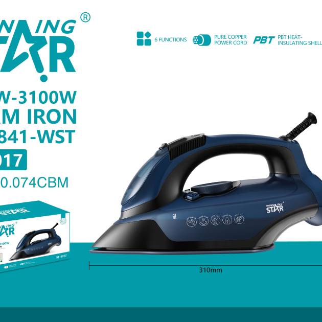 Steam Iron
